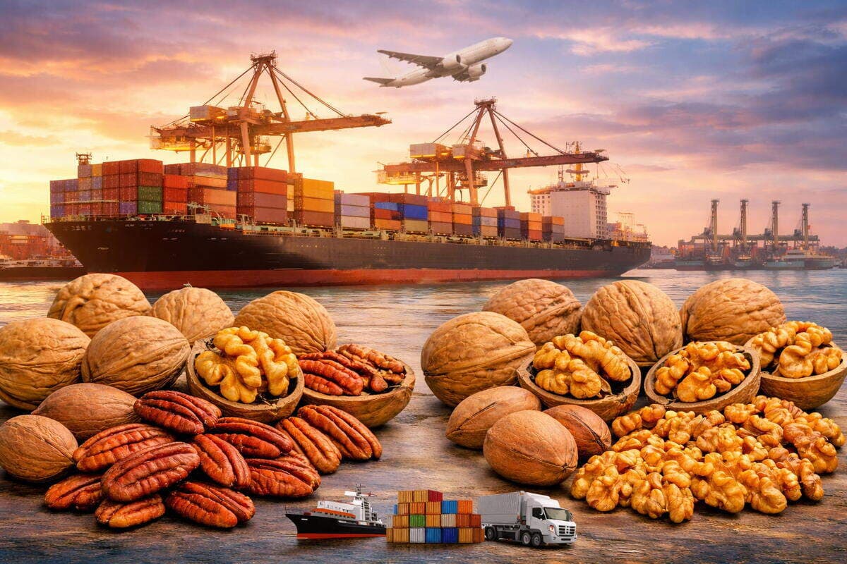 Nuestra Historia | Trading de Agroalimentos Premium Descubre la historia de Raíz Andina: traders especializados en nueces premium y frutos secos de Argentina y Chile para el mercado internacional.