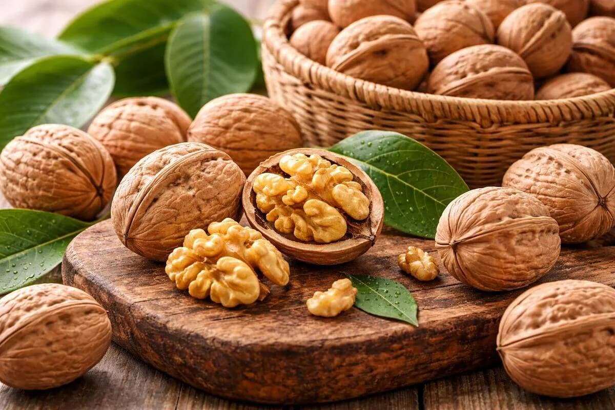 Nueces Chandler de alta calidad para exportación Nueces Chandler argentinas de calibre grande - Fondo decorativo de frutos secos premium