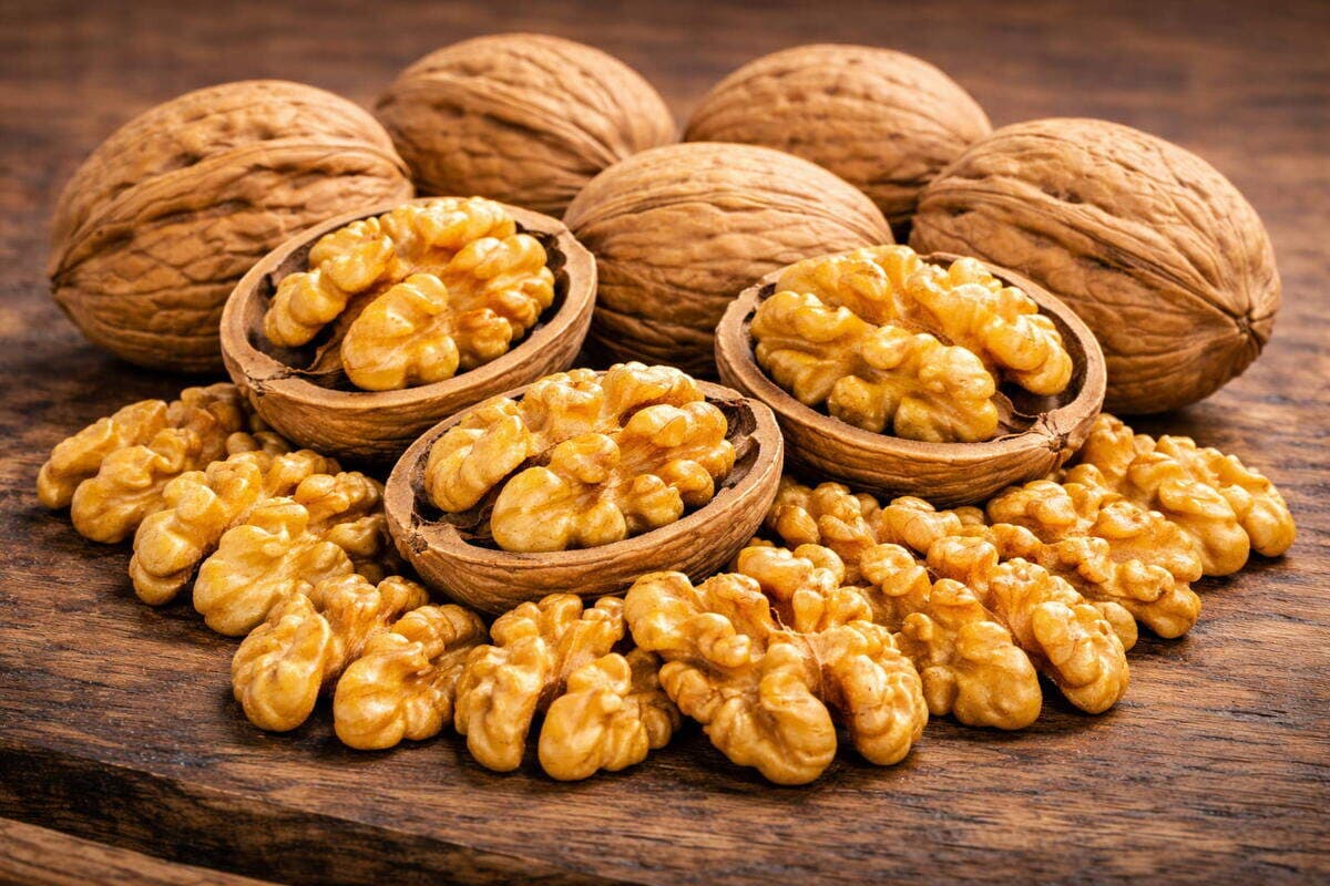Nuez Howard - Chile Nueces Howard chilenas de alto rendimiento, ideales para industria alimentaria