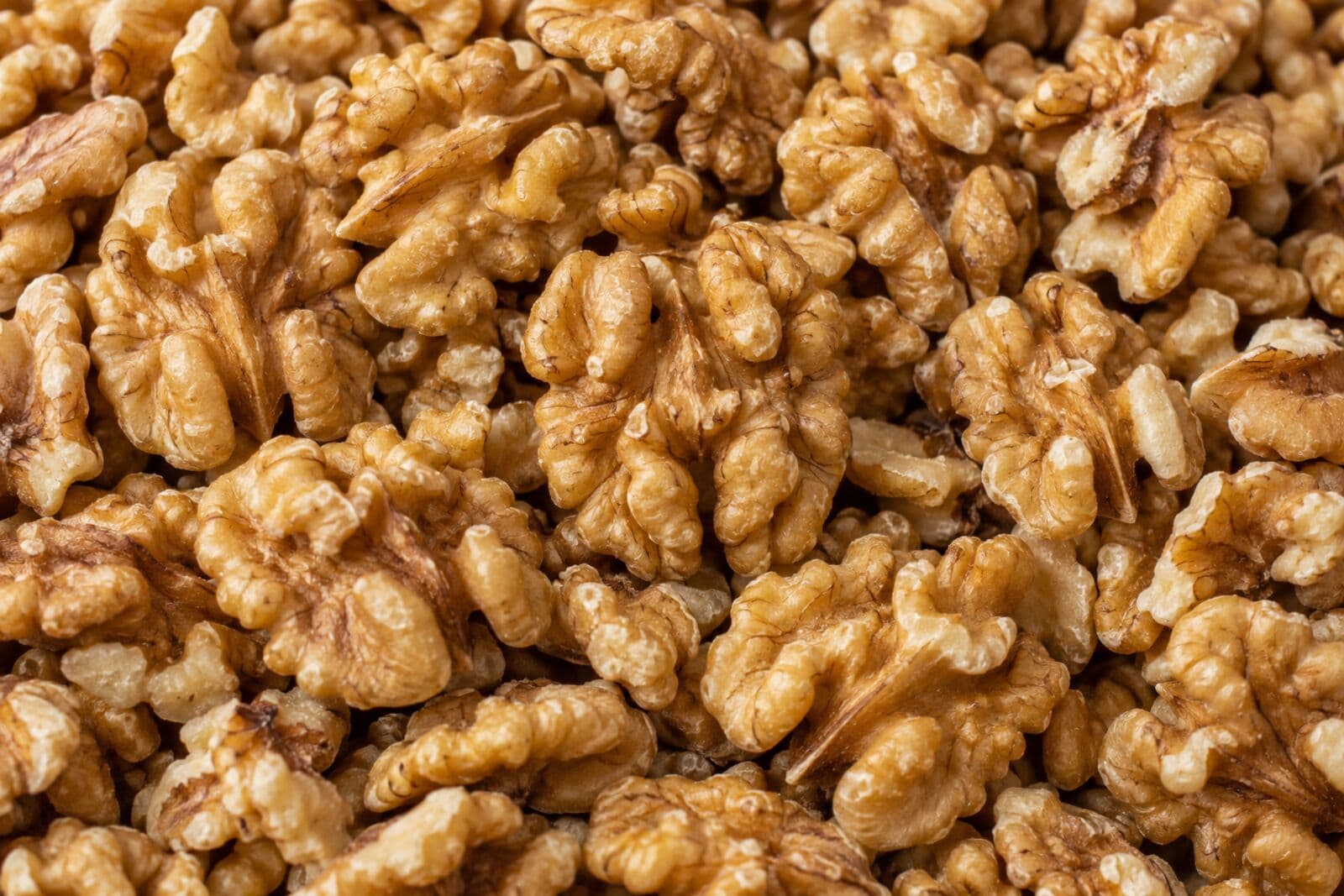 Nuez Serr - Chile Nueces Serr chilenas de calibre medio, cáscara fina y excelente rendimiento en pelado