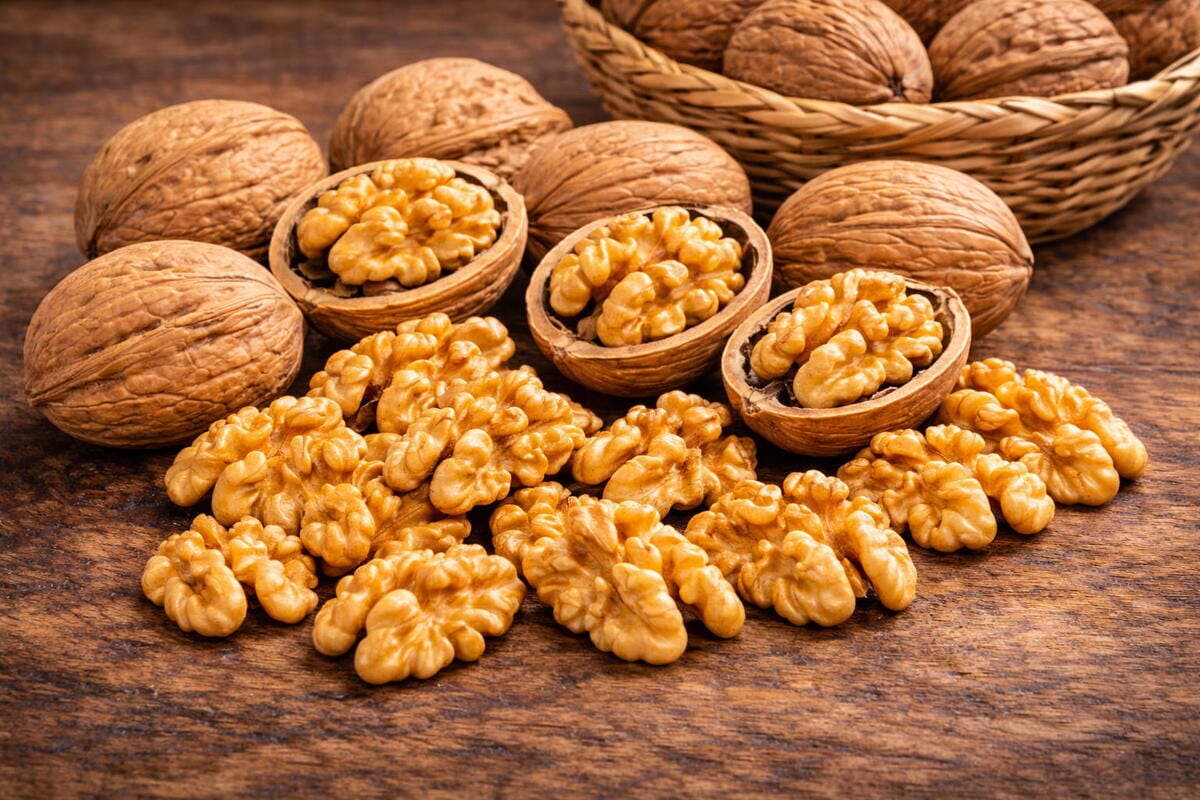 Nuez Serr - Chile Nueces Serr chilenas de calibre medio, cáscara fina y excelente rendimiento en pelado